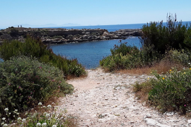 discover-creeks-blue-coast