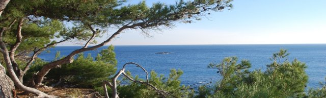 Camping à Martigues Sur La Côte Bleue Entre Plages Et